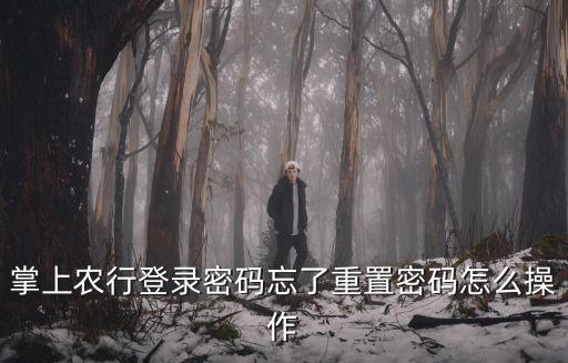 掌上農(nóng)行登錄密碼忘了重置密碼怎么操作
