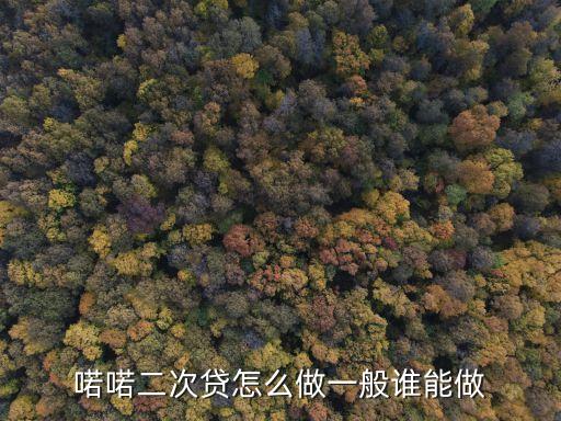 諾諾二次貸款怎么做，喏喏二次貸怎么做一般誰能做