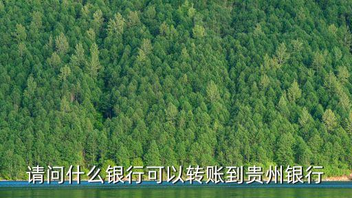 請(qǐng)問(wèn)什么銀行可以轉(zhuǎn)賬到貴州銀行