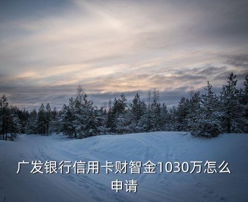 廣發(fā)銀行信用卡財智金1030萬怎么申請