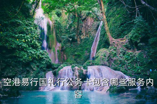 空港易行國禮行公務(wù)卡包含哪些服務(wù)內(nèi)容