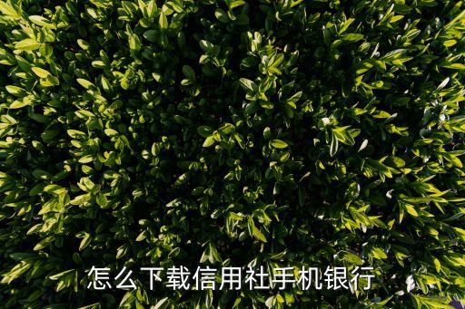 怎么下載信用社銀行，農(nóng)村信用社手機(jī)銀行怎么下載