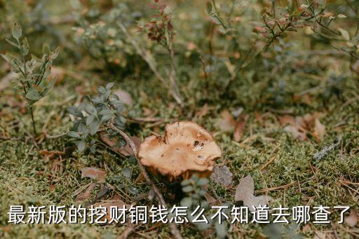 挖財怎么查卡上余額，最新版的挖財銅錢怎么不知道去哪查了