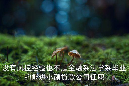 沒有風(fēng)控經(jīng)驗(yàn)也不是金融系法學(xué)系畢業(yè)的能進(jìn)小額貸款公司任職
