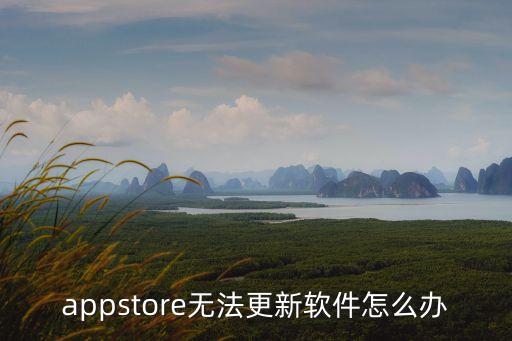 appstore無法更新軟件怎么辦