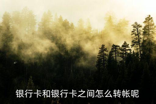 銀行卡和銀行卡之間怎么轉(zhuǎn)帳呢