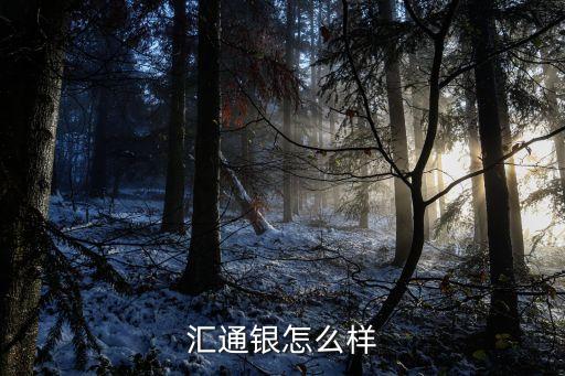 匯通銀怎么樣