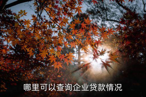 哪里可以查詢企業(yè)貸款情況