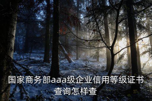 信用等級怎么查詢，個人信用等級怎么查詢