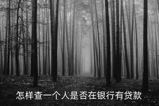 怎么查是否貸款了，怎樣查一個(gè)人是否在銀行有貸款