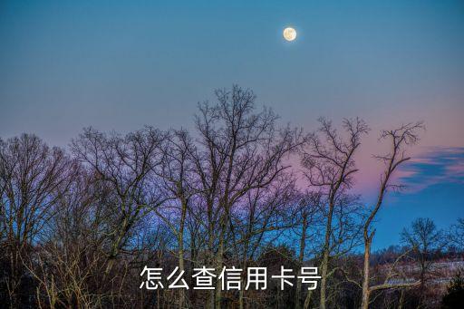 怎么查看自己的信用卡卡號，怎么查信用卡號