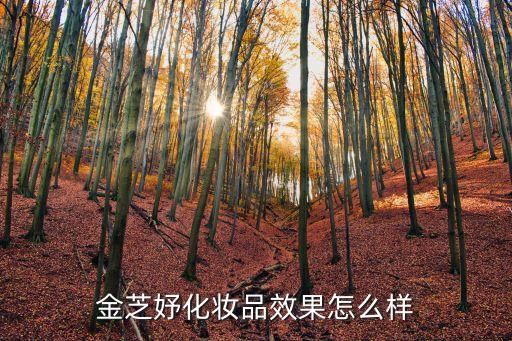 金芝妤化妝品效果怎么樣