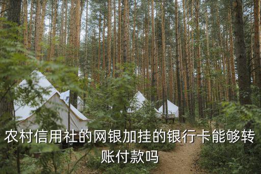 農(nóng)村信用社的網(wǎng)銀加掛的銀行卡能夠轉(zhuǎn)賬付款嗎