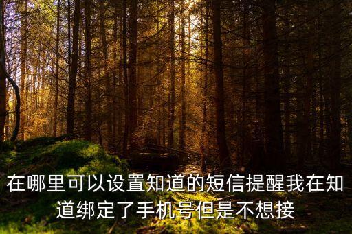 在哪里可以設(shè)置知道的短信提醒我在知道綁定了手機(jī)號但是不想接