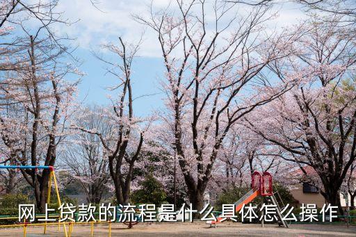 網(wǎng)上貸款的流程是什么具體怎么操作