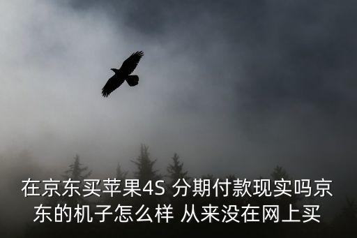 在京東買蘋果4S 分期付款現(xiàn)實(shí)嗎京東的機(jī)子怎么樣 從來(lái)沒(méi)在網(wǎng)上買
