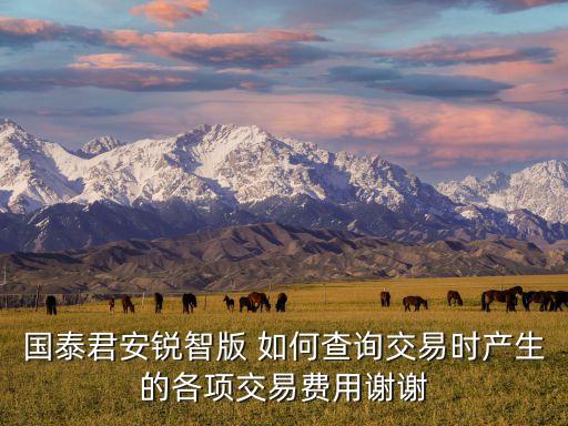 國泰君安銳智版 如何查詢交易時產(chǎn)生的各項(xiàng)交易費(fèi)用謝謝