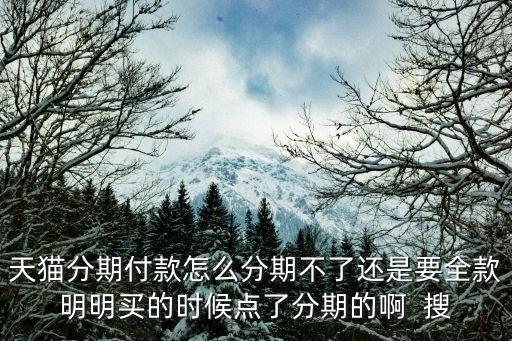 天貓上面怎么不能分期付款，為啥我不能天貓分期付款