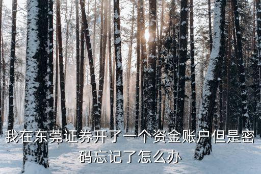 我在東莞證券開了一個資金賬戶但是密碼忘記了怎么辦