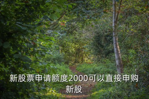 滬市怎么申購2000，新股票申請額度2000可以直接申購新股