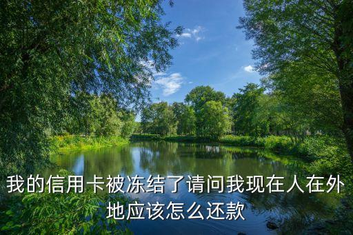 信用凍結(jié)了怎么還款，平安銀行的呆帳怎么還錢