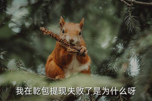 我在乾包提現(xiàn)失敗了是為什么呀