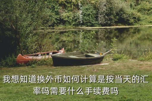 我想知道換外幣如何計算是按當(dāng)天的匯率嗎需要什么手續(xù)費嗎