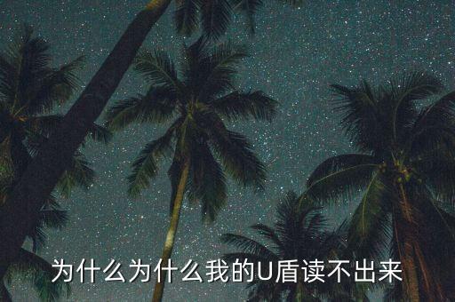 郵政u盾讀空白怎么回事，重裝系統(tǒng)后 U盾數(shù)字證書顯示空白