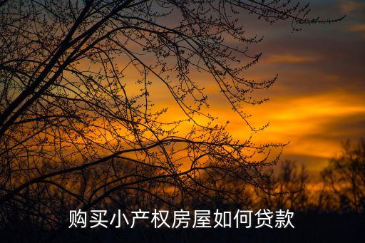 買小產(chǎn)權(quán)貸款怎么辦理，我想問(wèn)一下小產(chǎn)權(quán)房貸款怎么辦理