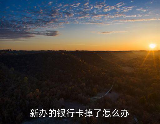剛辦的卡掉了怎么辦啊，求助剛發(fā)的銀行卡丟了誰能告訴我怎么辦