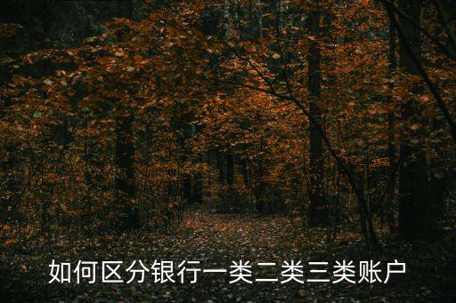 如何區(qū)分銀行一類二類三類賬戶