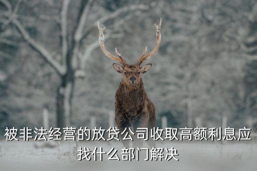 被非法經(jīng)營(yíng)的放貸公司收取高額利息應(yīng)找什么部門解決