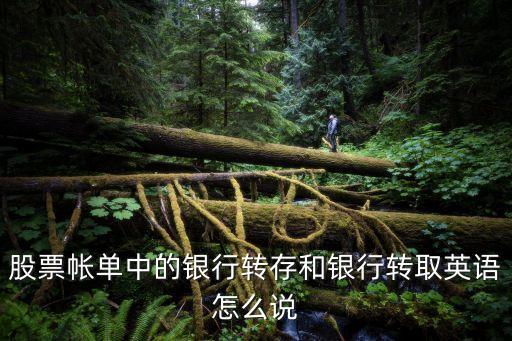 股票帳單中的銀行轉(zhuǎn)存和銀行轉(zhuǎn)取英語怎么說