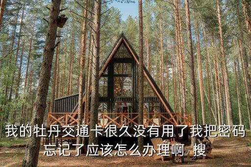 我的牡丹交通卡很久沒(méi)有用了我把密碼忘記了應(yīng)該怎么辦理啊  搜
