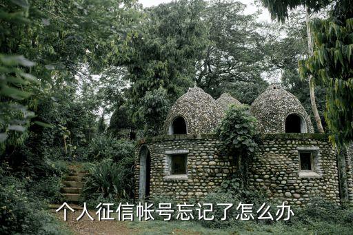 個人征信忘了怎么辦，個人征信帳號忘記了怎么辦