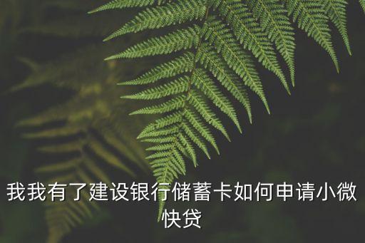 我我有了建設(shè)銀行儲(chǔ)蓄卡如何申請(qǐng)小微快貸