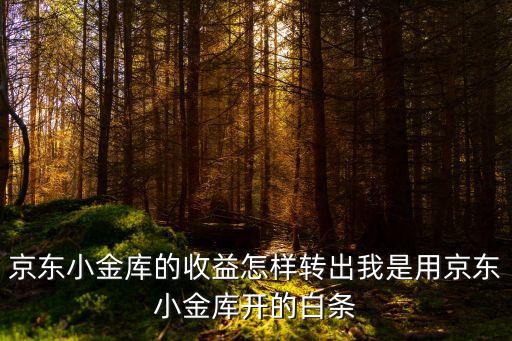 小金庫的錢怎么轉(zhuǎn)出，京東小金庫里面的錢怎么提出