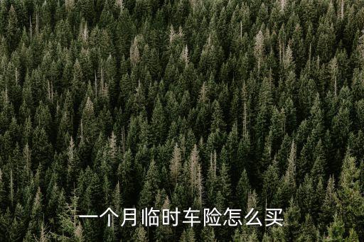 一個月臨時車險怎么買