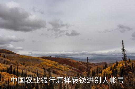 怎么銀行卡匯款，中國建設(shè)銀行如何往農(nóng)行轉(zhuǎn)賬
