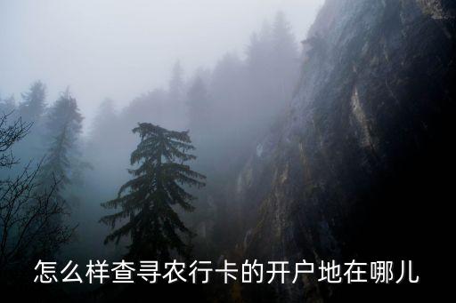 農(nóng)業(yè)銀行開戶網(wǎng)點(diǎn)怎么查詢，怎么樣查尋農(nóng)行卡的開戶地在哪兒