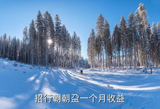 招行朝朝盁一個月收益