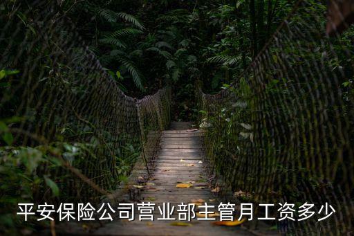平安普惠營業(yè)部經理待遇怎么樣，普惠金融客戶經理好做嗎待遇怎么樣一般能有多少錢