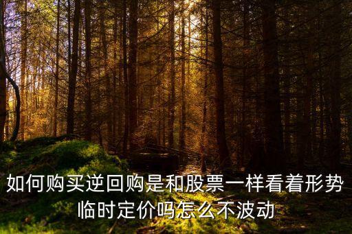 如何購(gòu)買(mǎi)逆回購(gòu)是和股票一樣看著形勢(shì)臨時(shí)定價(jià)嗎怎么不波動(dòng)