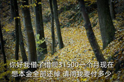 你好我借了借唄31500一個(gè)月現(xiàn)在想本金全部還掉 請(qǐng)問(wèn)我要付多少