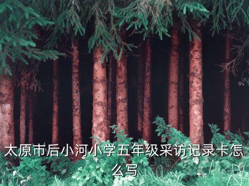 太原市后小河小學(xué)五年級(jí)采訪記錄卡怎么寫