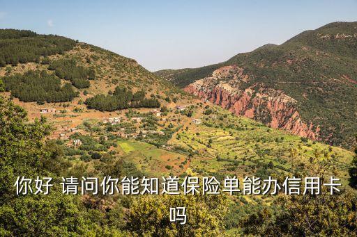 保單貸款網(wǎng)上怎么辦理信用卡，你好 請問你能知道保險單能辦信用卡嗎