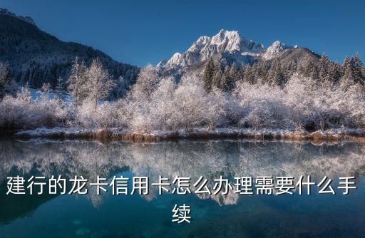 建行的龍卡信用卡怎么辦理需要什么手續(xù)