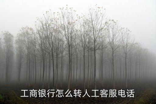 工商銀行怎么轉(zhuǎn)人工客服電話