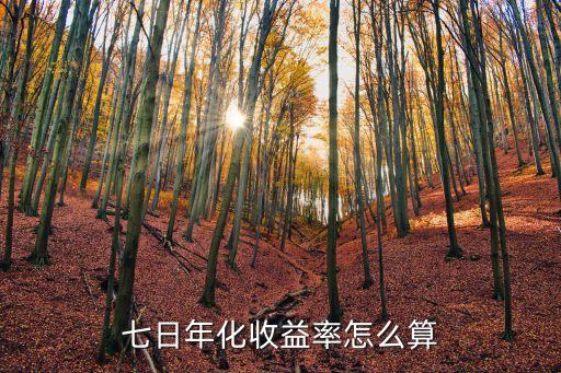 七日年化收益率怎么算