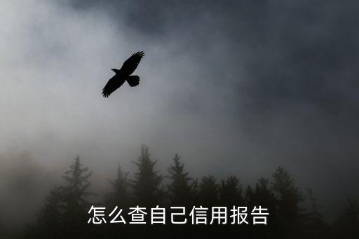 怎么查自己信用報(bào)告